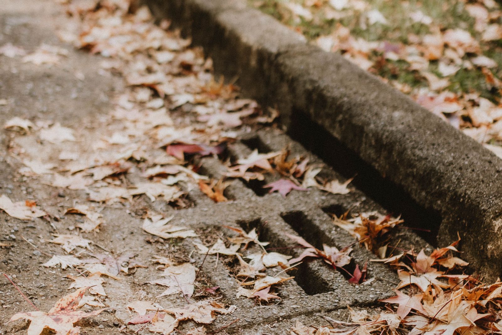 Kerbside surface drain choked with fallen leaves