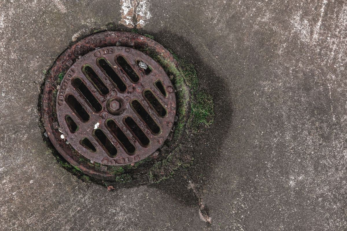 Rusted cast-iron drain grate being cleared of moss and debris