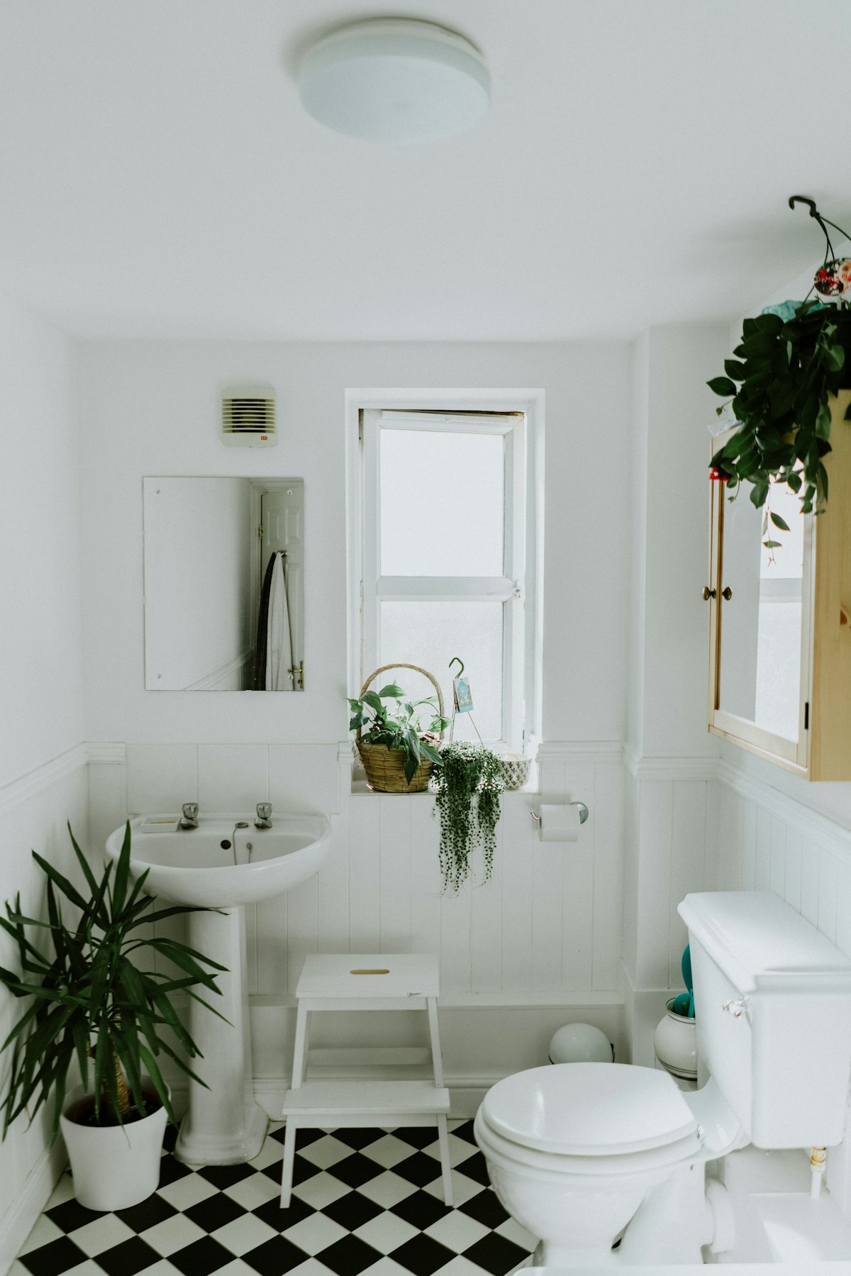 Traditional bathroom with pedestal basin