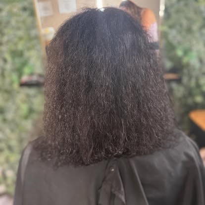 Natural dark curly hair texture before a colour and styling consultation