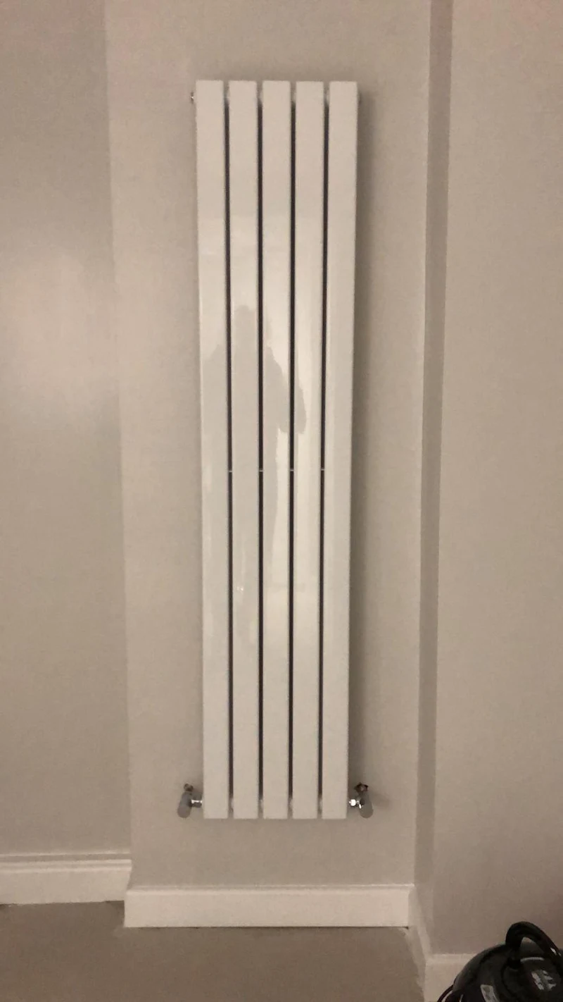 Designer radiator installation