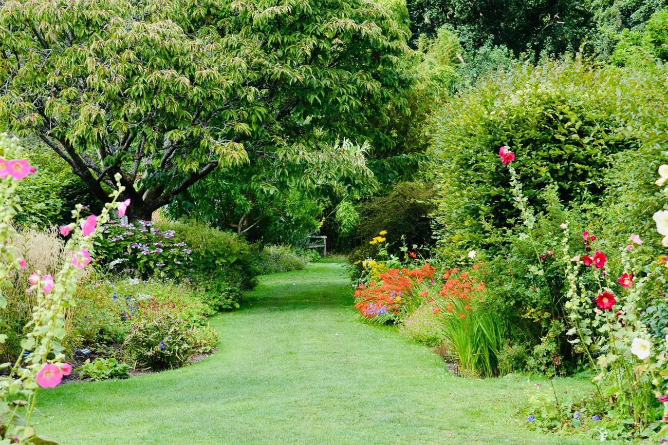 A garden path running between colourful planted borders