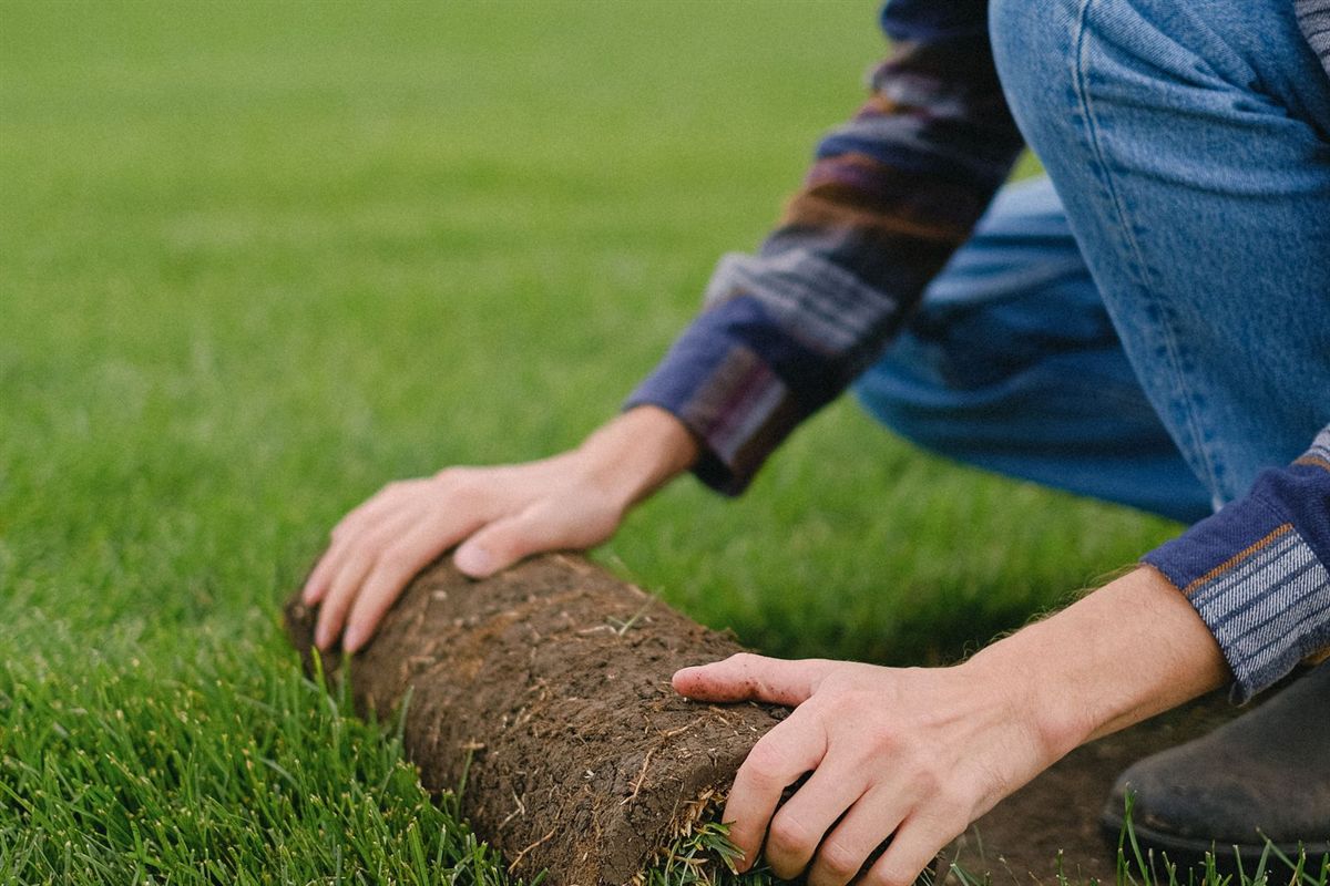 New turf being laid to create a fresh lawn