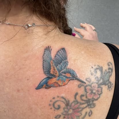 Colour kingfisher bird tattoo in flight on upper back and shoulder