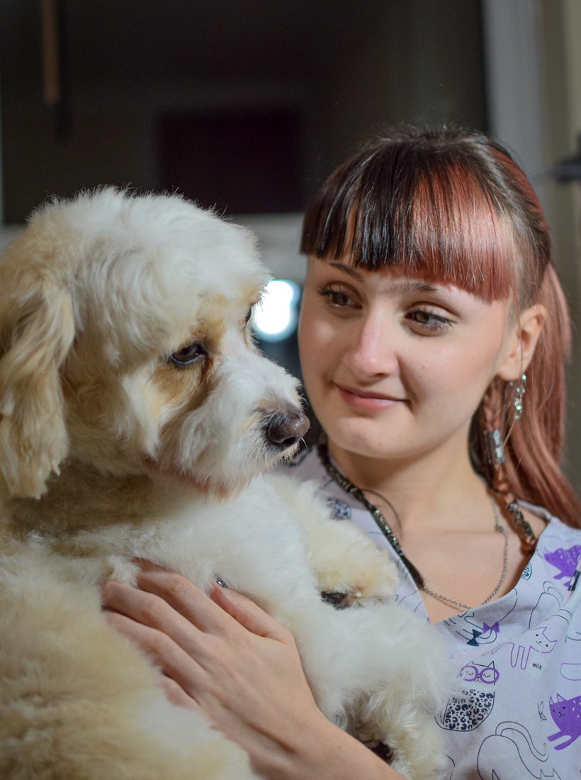 Poppy holding a freshly groomed cream poodle