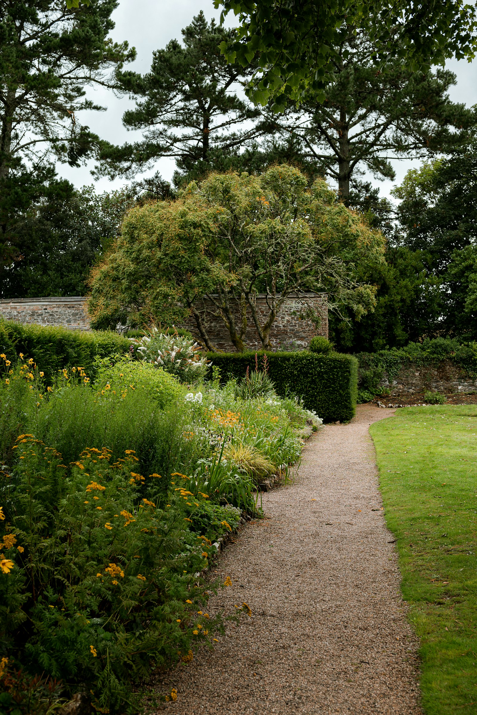 A garden path winding through colourful planted borders