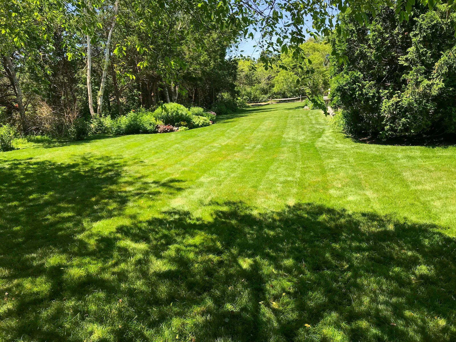 A freshly mown, stripe-straight lawn