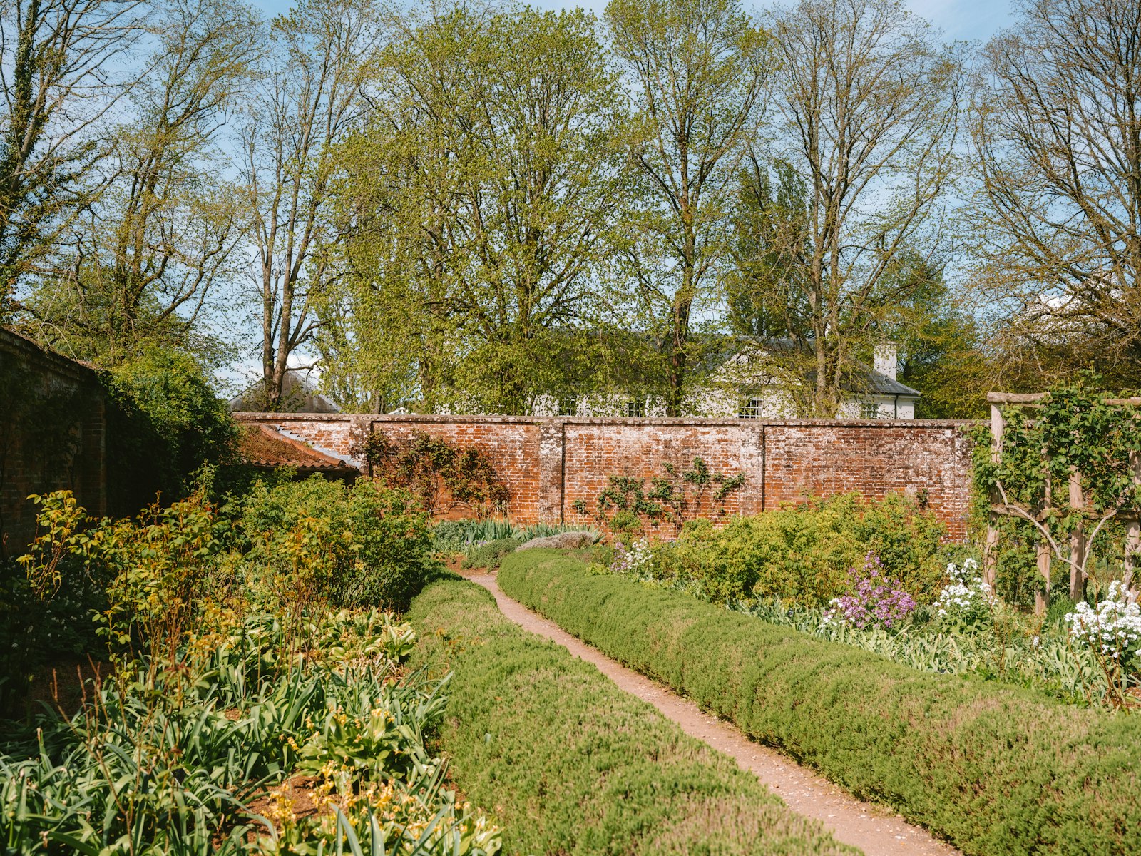 A winding path through a lush, well-kept garden